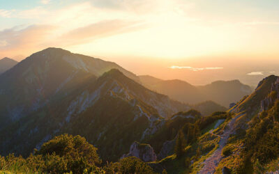 Monatsbericht Oktober 2025