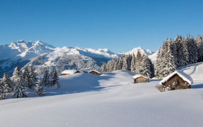 Monatsbericht Dezember 2025