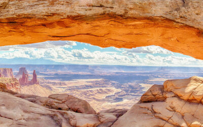 Monatsbericht März 2026