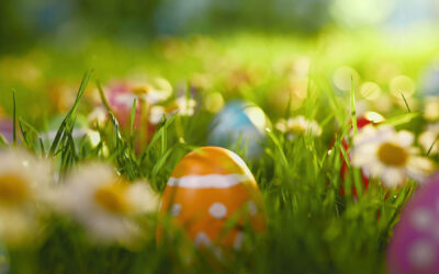 Wydler wünscht ein Frohes Osterfest 2026